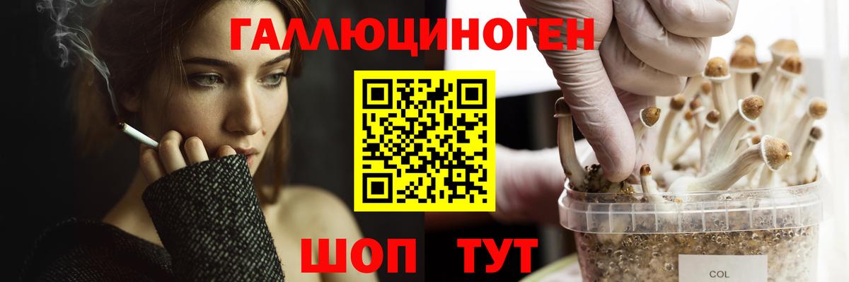 Псилоцибиновые грибы Magic Shrooms  Псилоцибиновые грибы GOLDEN TEACHER  Мыски  Вход с VPN 